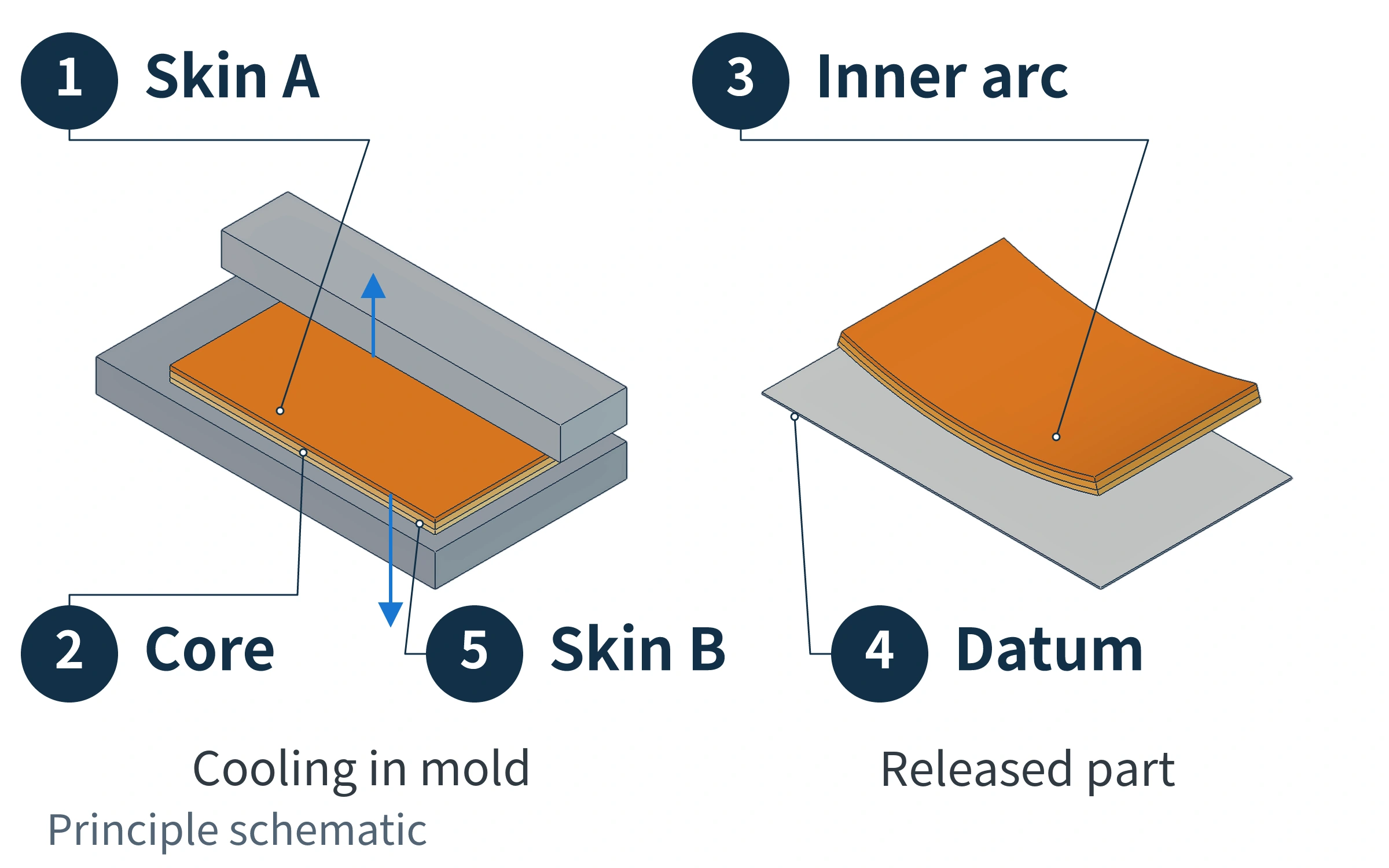 Schematic comparison of heat transfer on both sides, solidification through the thickness, and bending of connected layers after demolding