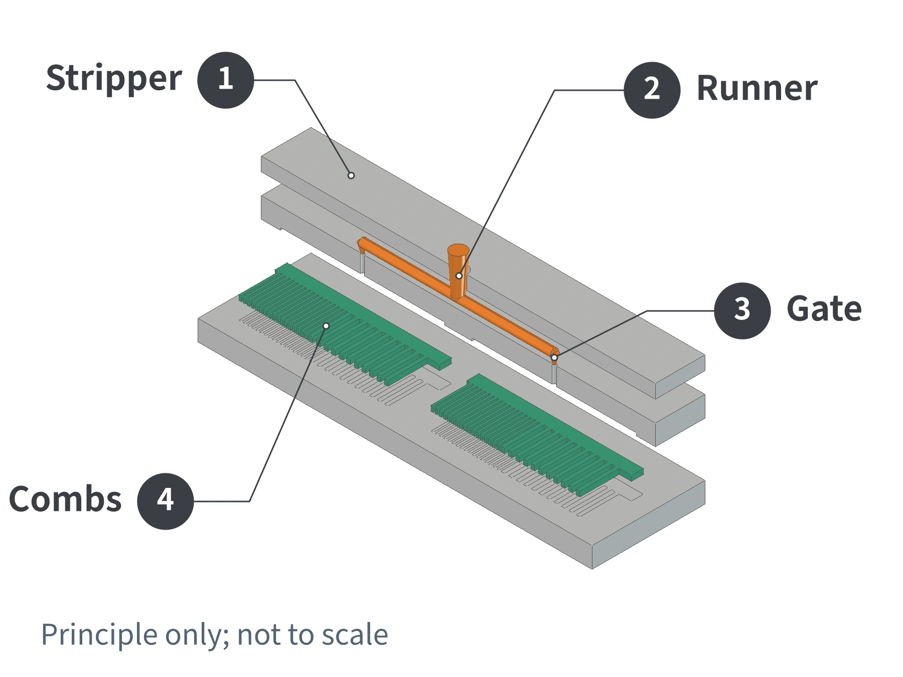 Local structure of a three-plate pinpoint gate mold, showing the runner separated from the combs
